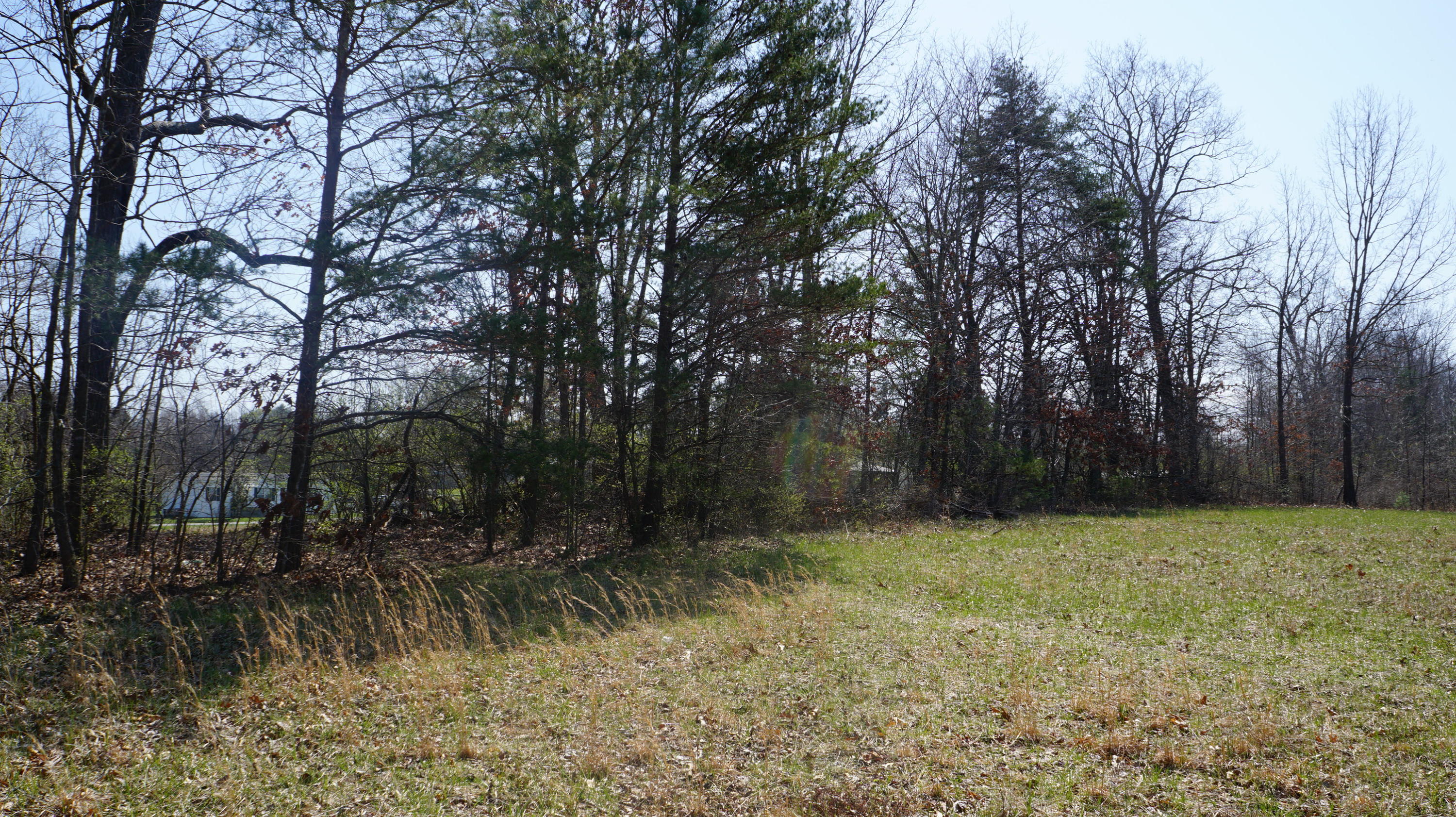 7.4-acres Genesis Road Crossville, TN 38555 - Photo 21 of 30 DSC01418