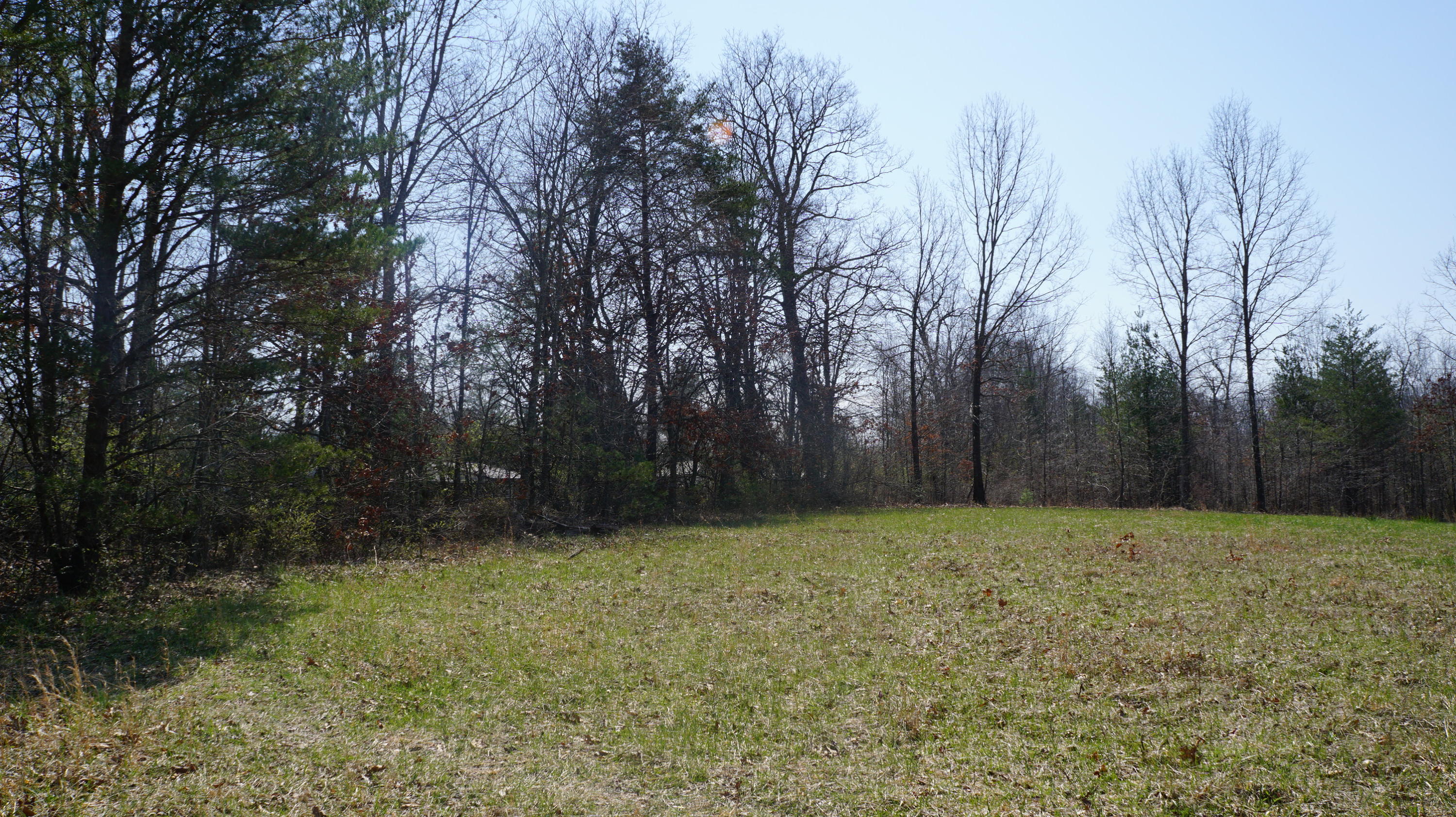 7.4-acres Genesis Road Crossville, TN 38555 - Photo 22 of 30 DSC01419