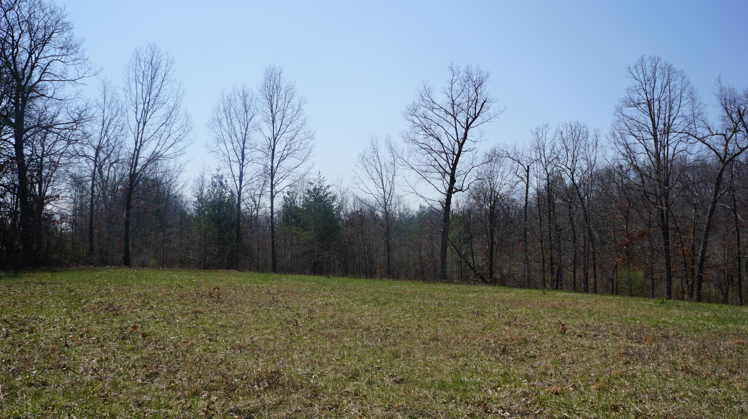 7.4-acres Genesis Road Crossville, TN 38555 - Photo 23 of 30 DSC01420