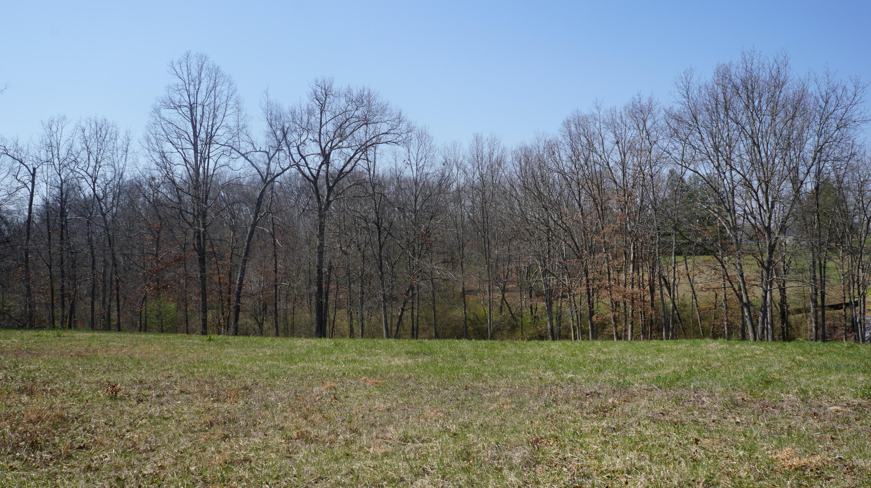 7.4-acres Genesis Road Crossville, TN 38555 - Photo 24 of 30 DSC01421