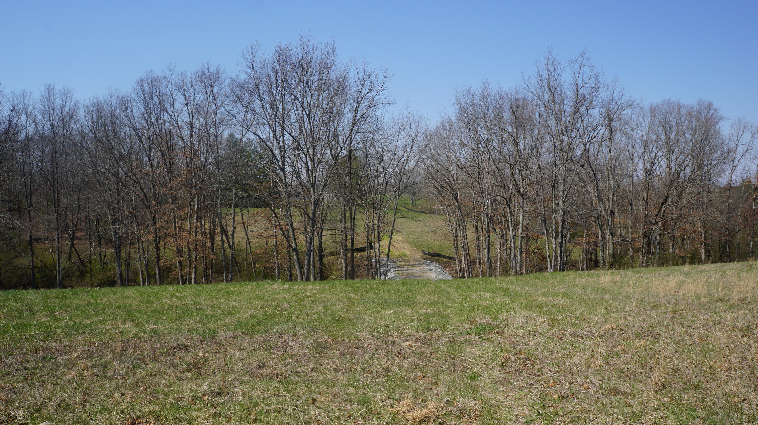 7.4-acres Genesis Road Crossville, TN 38555 - Photo 25 of 30 DSC01422