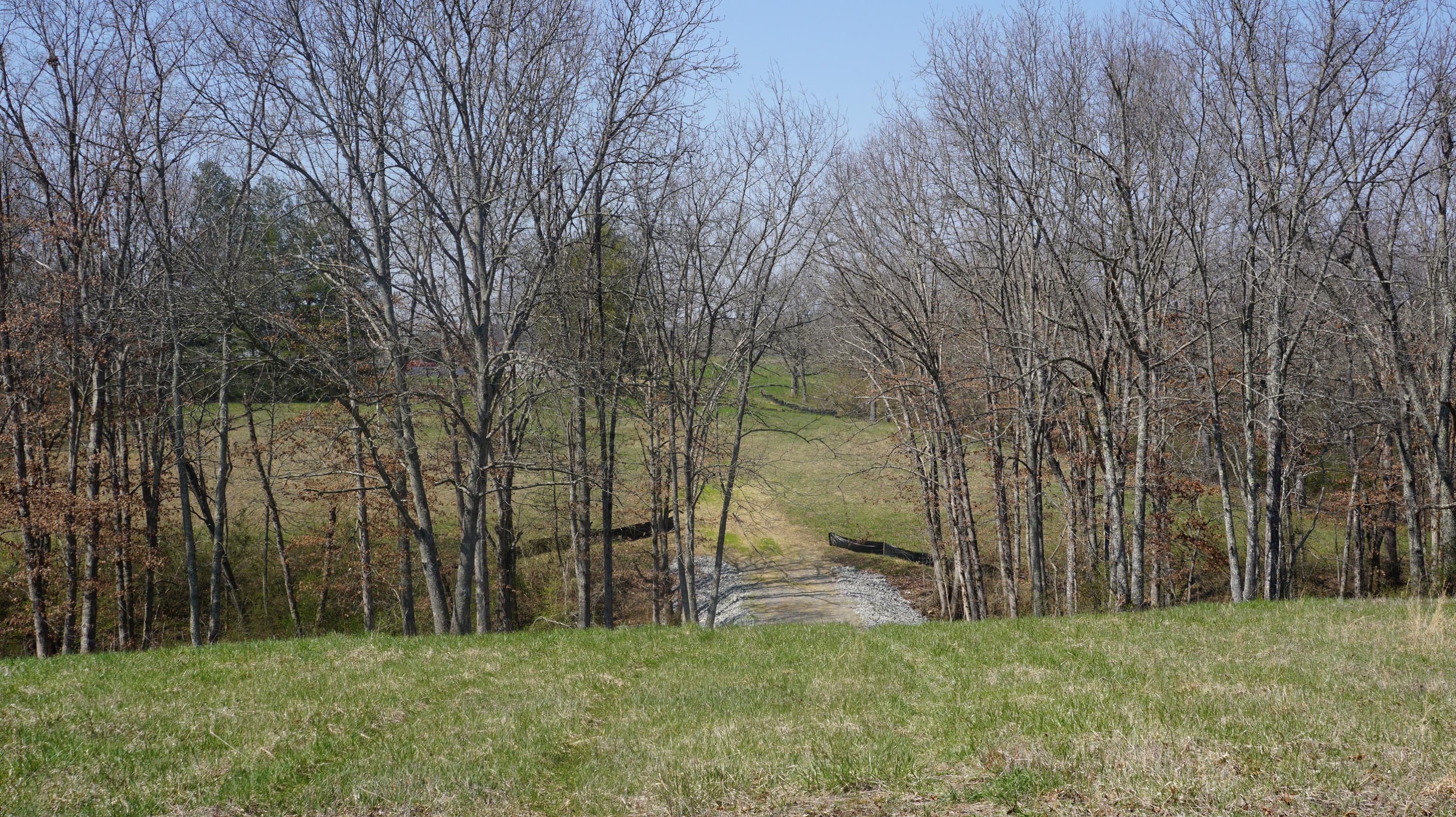 7.4-acres Genesis Road Crossville, TN 38555 - Photo 26 of 30 DSC01423