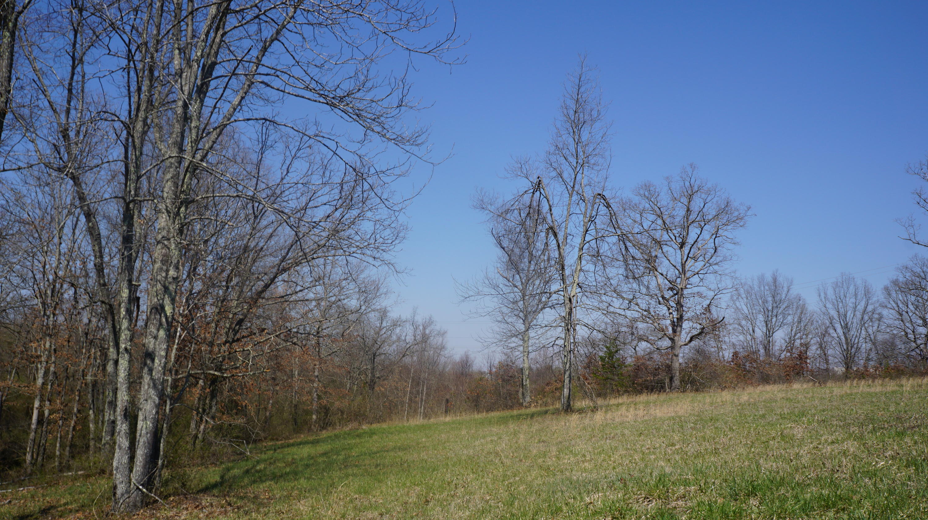 7.4-acres Genesis Road Crossville, TN 38555 - Photo 27 of 30 DSC01424
