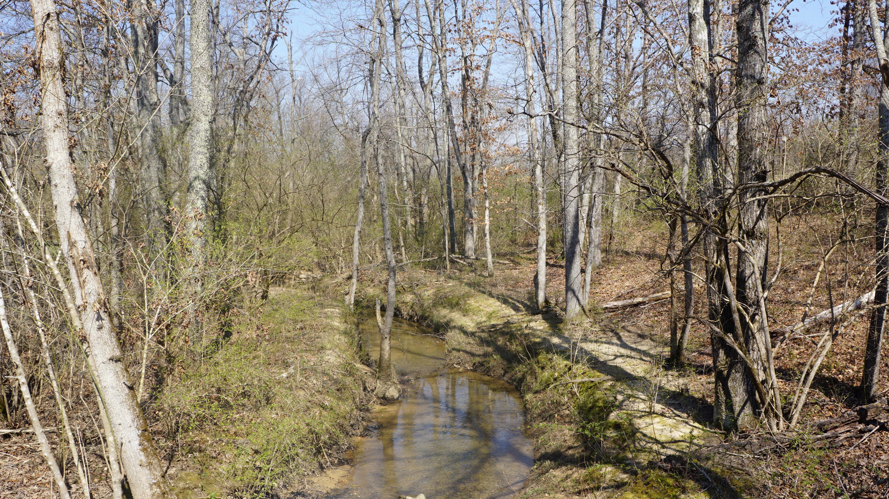 7.4-acres Genesis Road Crossville, TN 38555 - Photo 29 of 30 DSC01426