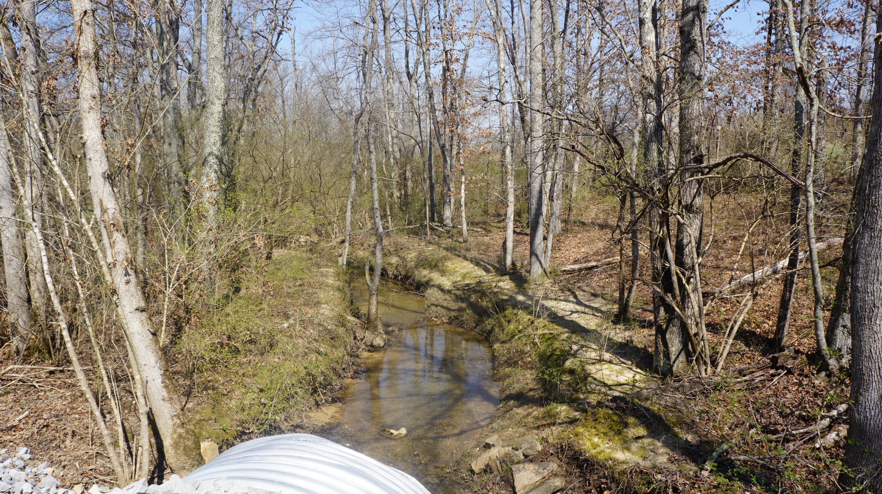 7.4-acres Genesis Road Crossville, TN 38555 - Photo 30 of 30 DSC01427