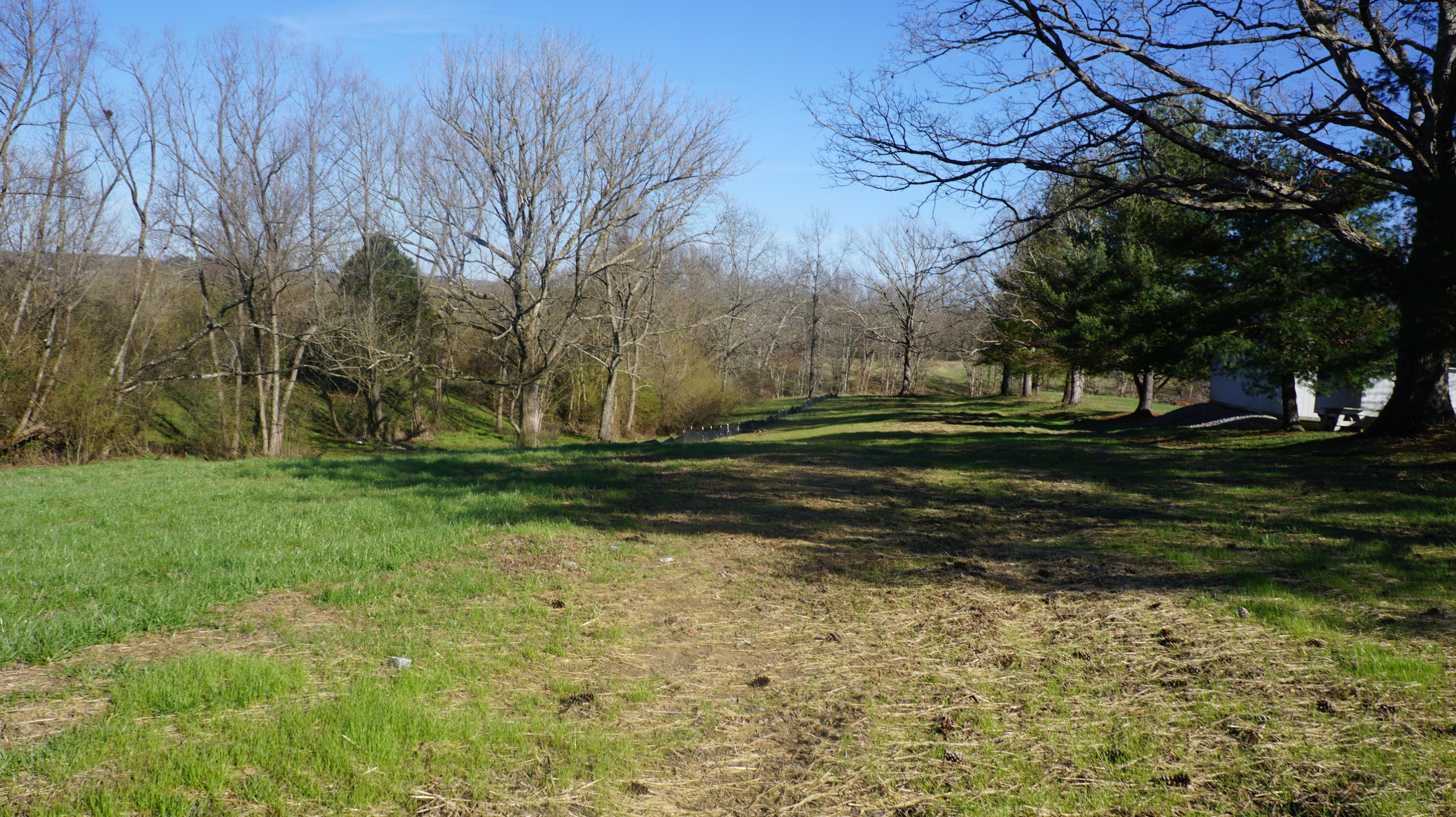 7.4-acres Genesis Road Crossville, TN 38555 - Photo 6 of 30 DSC01403