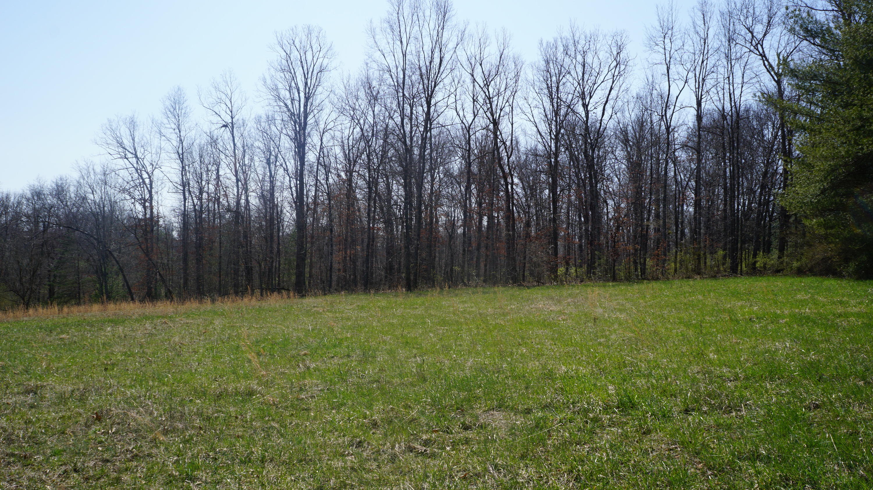 7.4-acres Genesis Road Crossville, TN 38555 - Photo 8 of 30 DSC01405