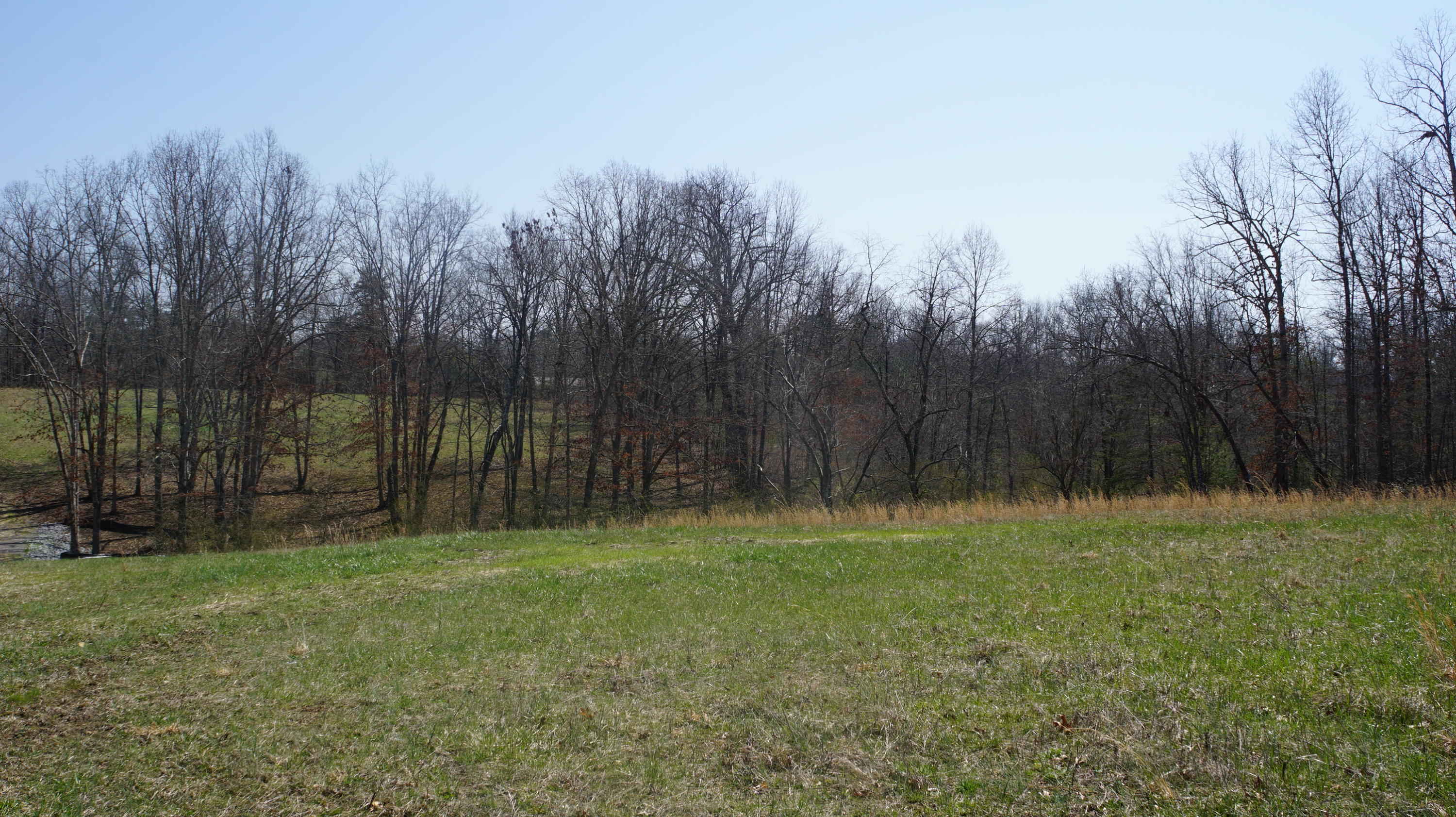 7.4-acres Genesis Road Crossville, TN 38555 - Photo 9 of 30 DSC01406