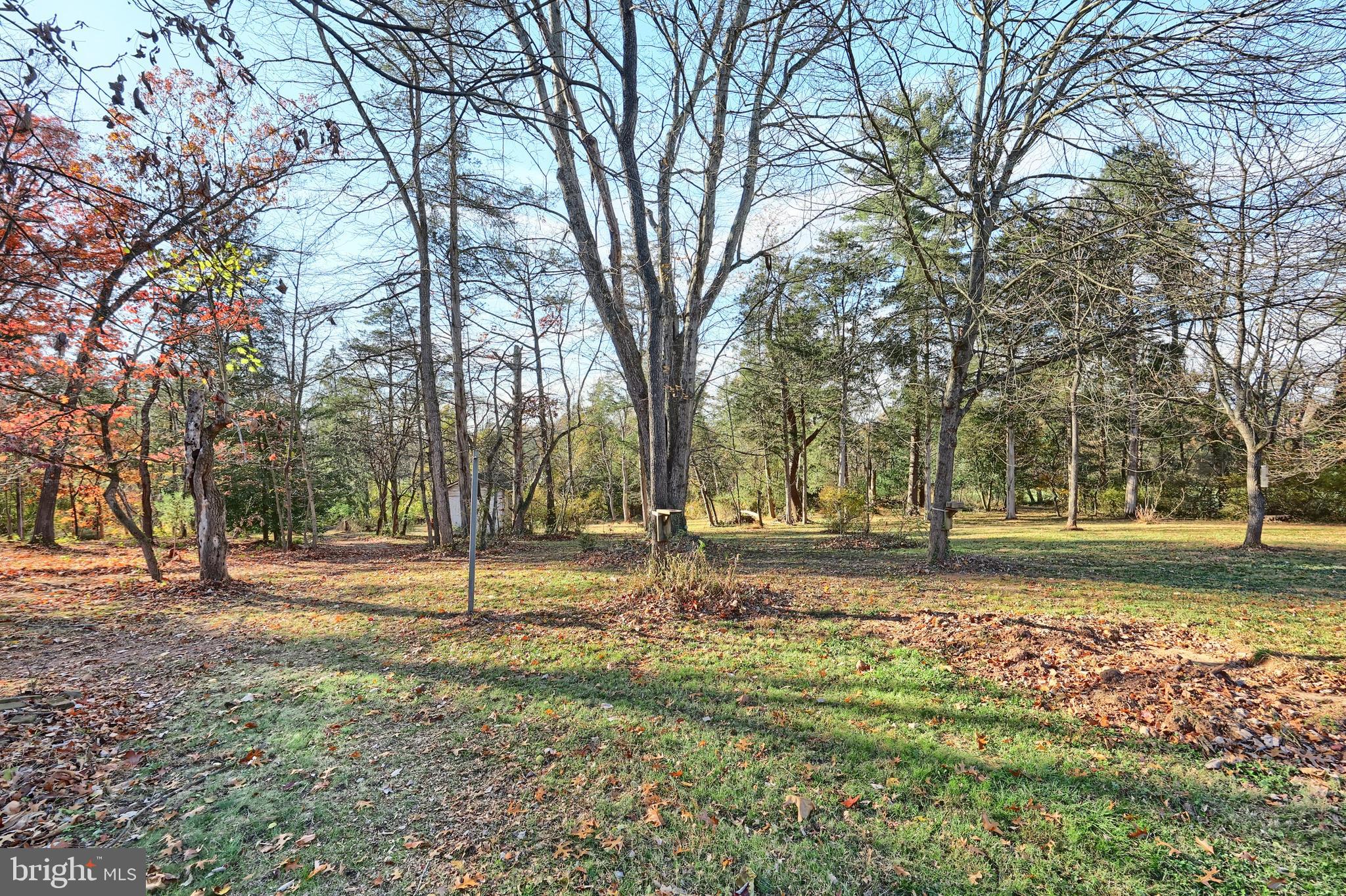 6691 Harmony Grove Road Dover, PA 17315 - Photo 52 of 66 a view of a yard with trees