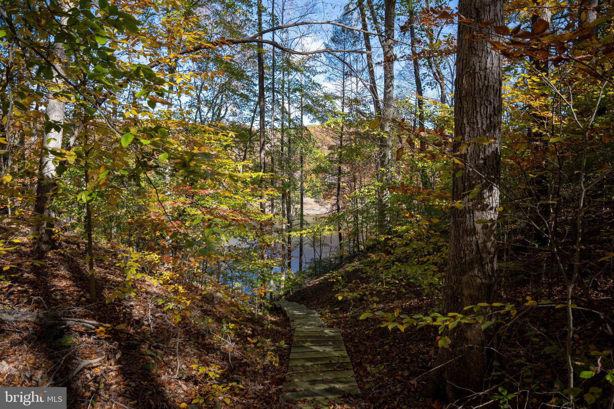 231 Kimberwick Lane Stafford, VA 22556 - Photo 67 of 78 a view of a tree