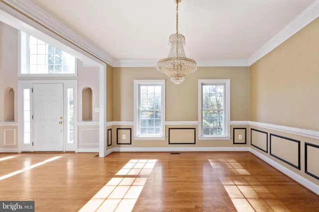 a living room with furniture a potted plant and a lamp