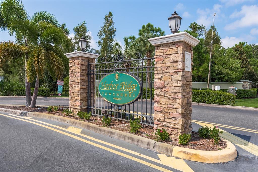 336 Harbor Ridge Drive Palm Harbor, FL 34683 - Photo 28 of 28