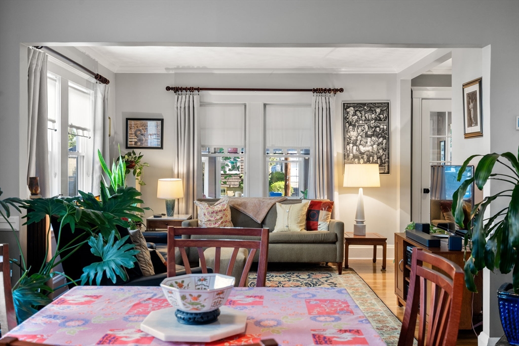 15 Berkshire Road, Unit 1 Waltham, MA 02453 - Photo 17 of 42 a living room with furniture and a potted plant