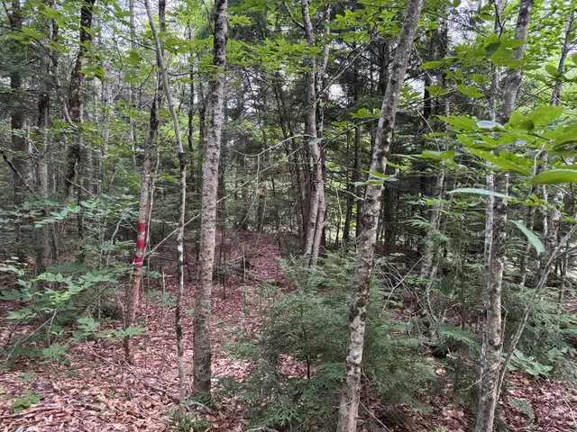 $89,000 | 1-70 Route 197 Litchfield Me 04350, Litchfield, ME 04350