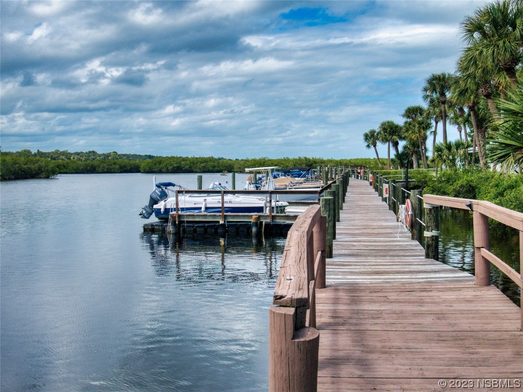 69 Sabal Cay Court, Unit 690 New Smyrna Beach, FL 32169 - Photo 21 of 30 a view of outdoor space yard and lake