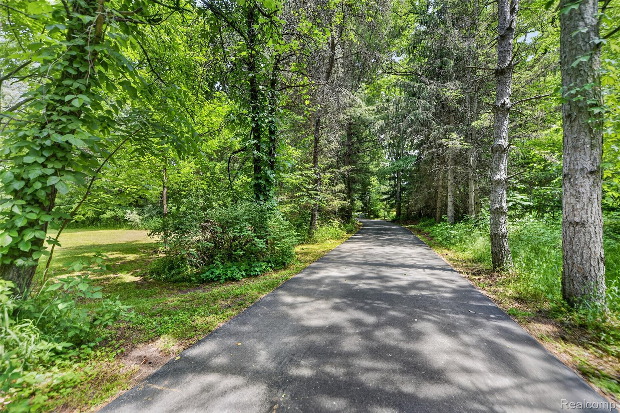 13635 Unadilla Road Gregory, MI 48137 - Photo 46 of 68 Paved driveway surrounded by mature trees, lush greenery, and manicured lawn areas