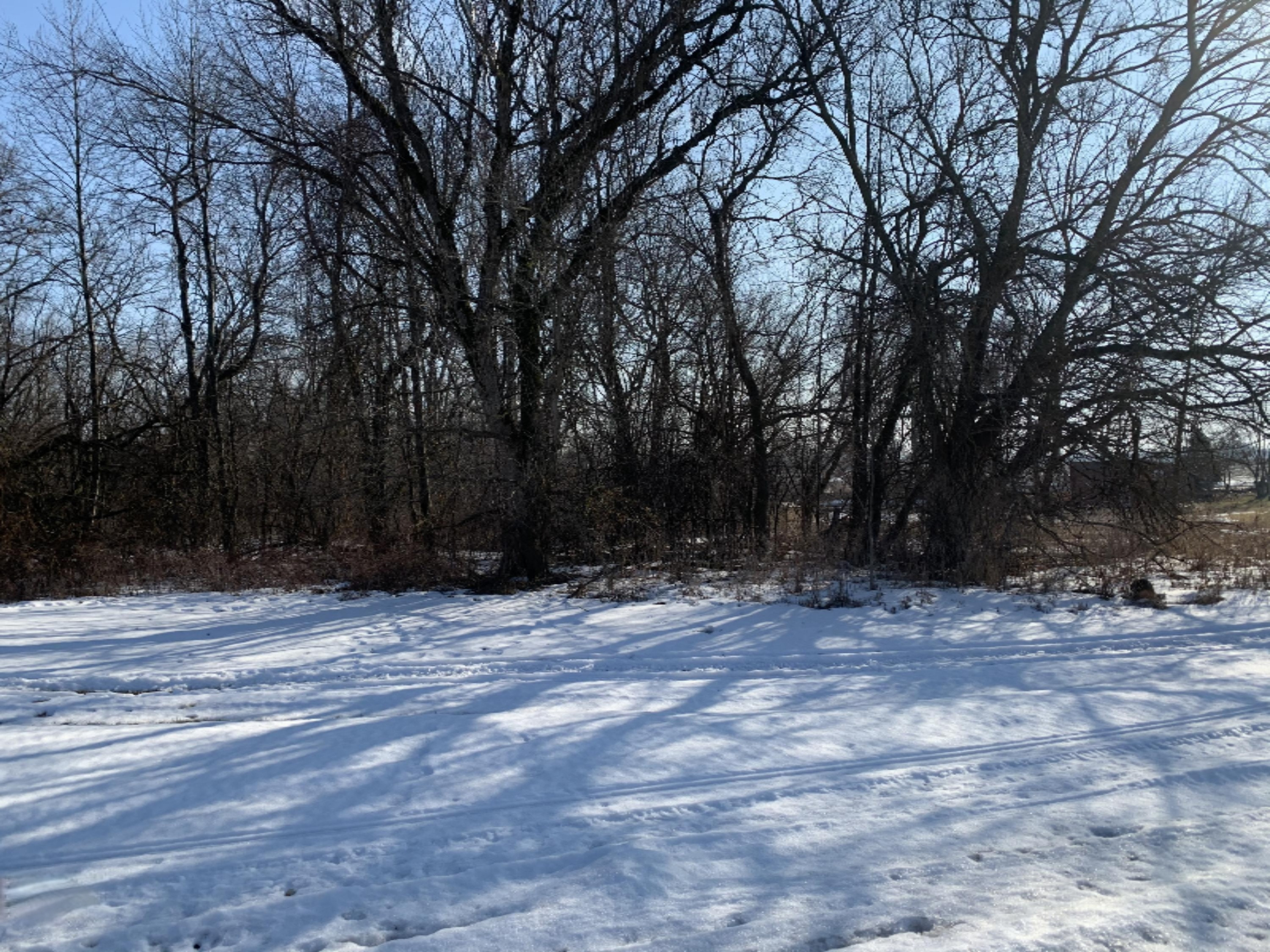 86 M Colon, MI 49040 - Photo 2 of 4 2