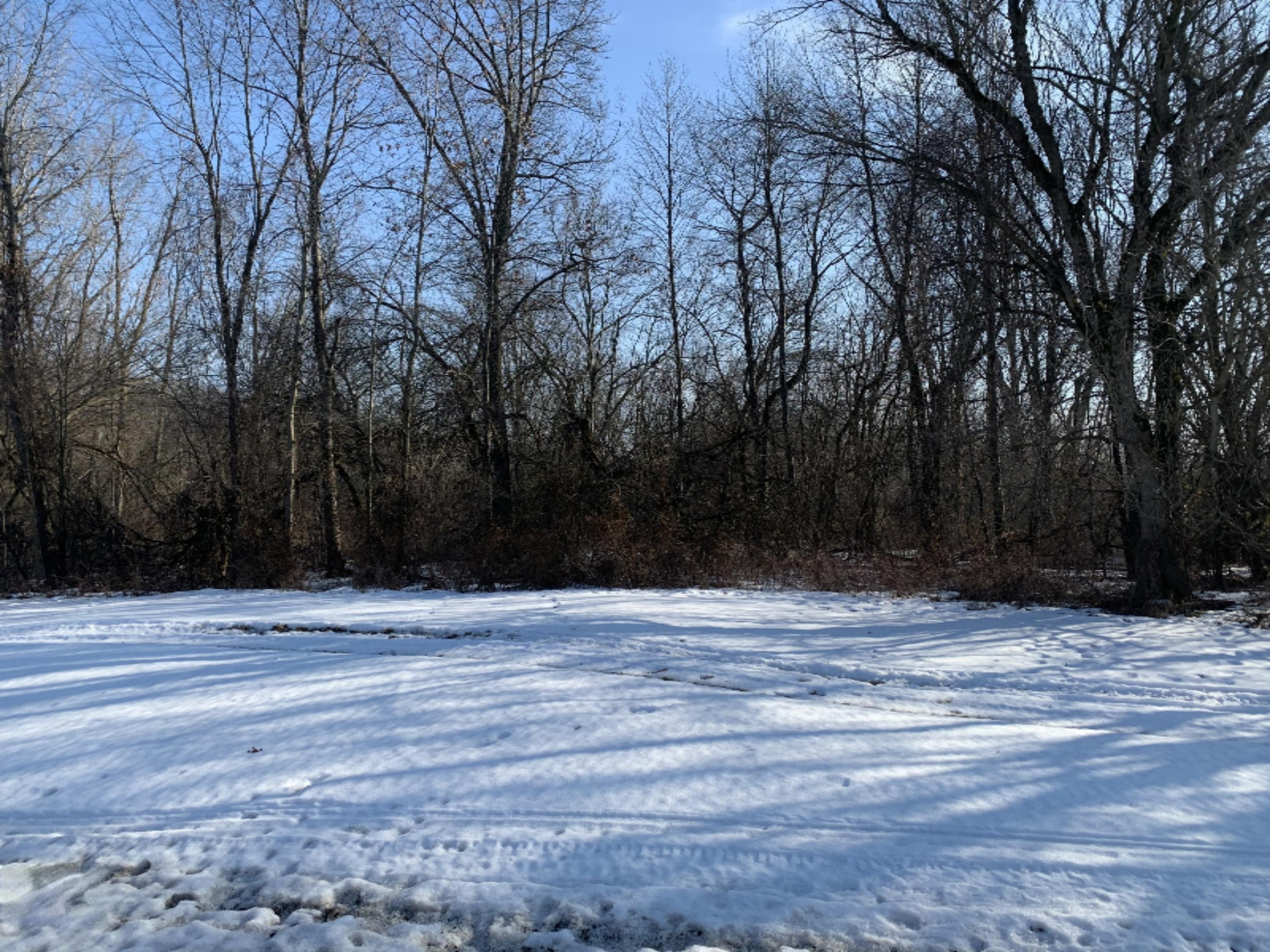86 M Colon, MI 49040 - Photo 3 of 4 3