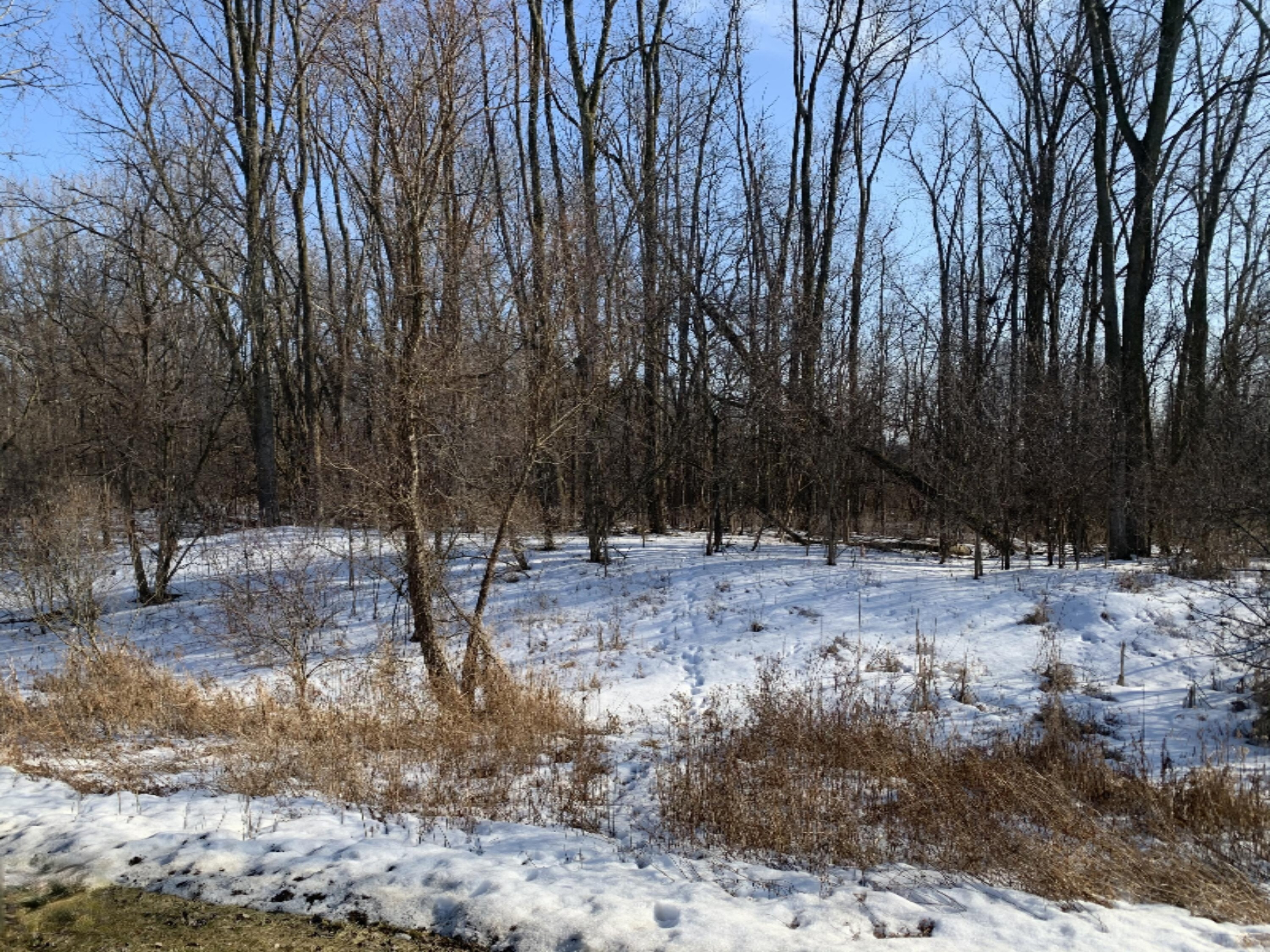 86 M Colon, MI 49040 - Photo 4 of 4 4