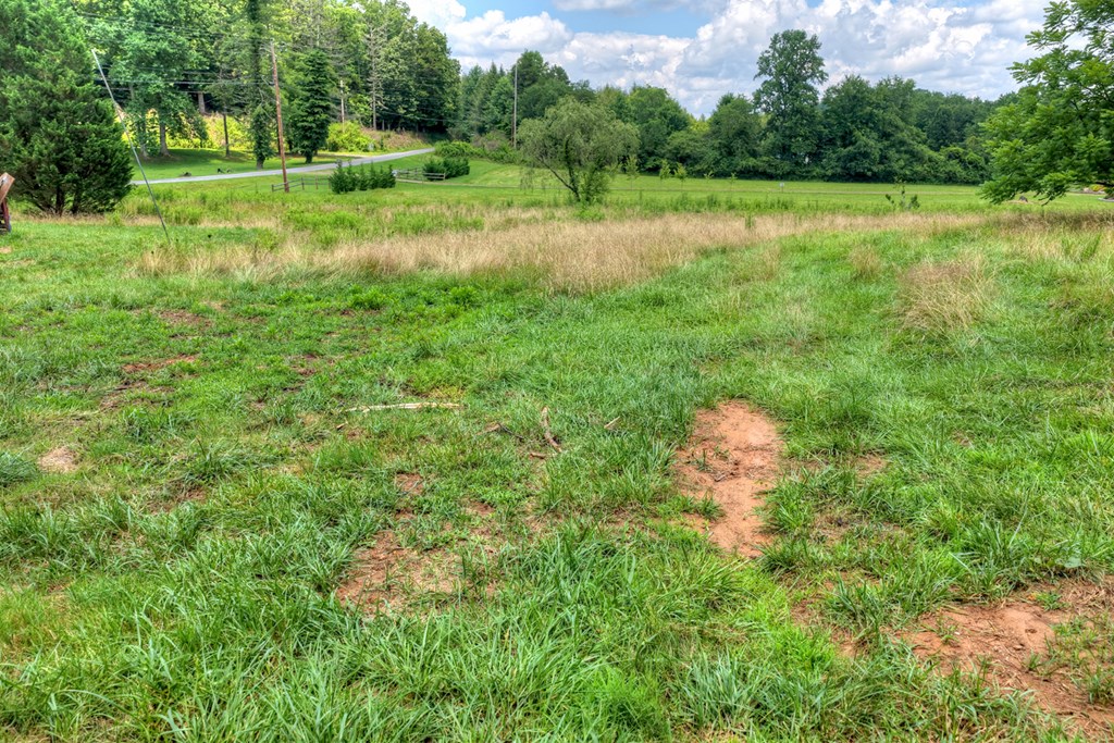 2125 Shady Grove Road Murphy, NC 28906 - Photo 53 of 61 Gallery Image 53