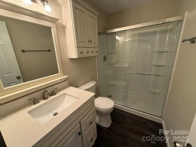 a bathroom with a sink a toilet a mirror and shower
