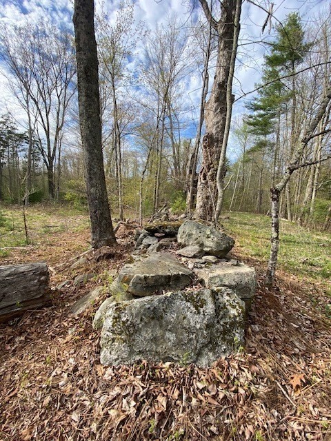 7 L New Athol Road Petersham, MA 01366 - Photo 2 of 4 a backyard of a house with lots of green space