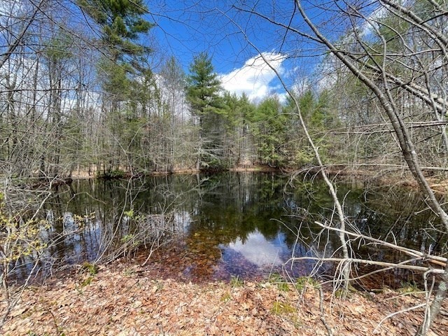 7 L New Athol Road Petersham, MA 01366 - Photo 4 of 4 a backyard of a house