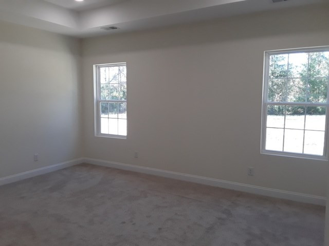 930 Rodney Road Orangeburg, SC 29115 - Photo 3 of 10 Photo 3