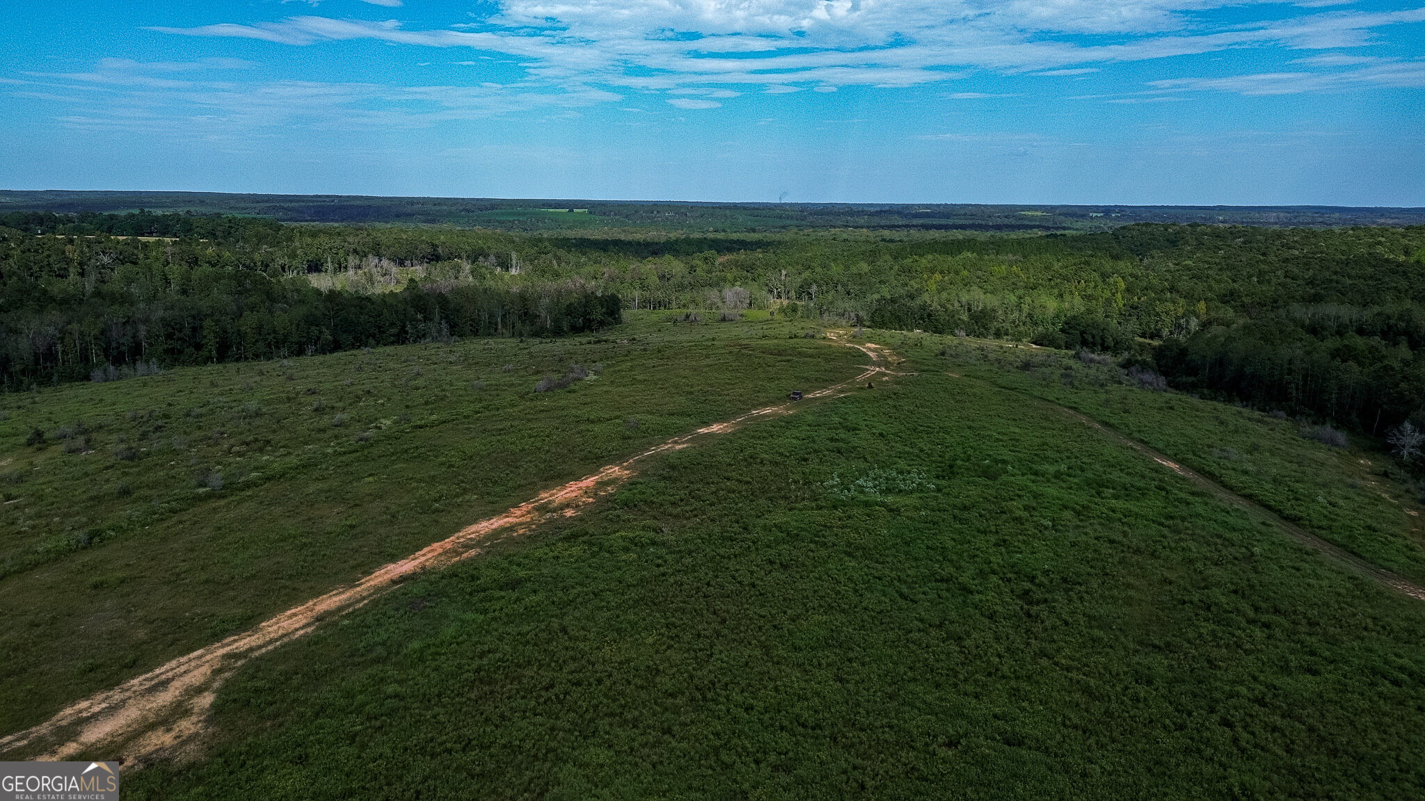 1199 Rural Hill Church Road Preston, GA 31824 - Photo 20 of 34 Gallery Image 20