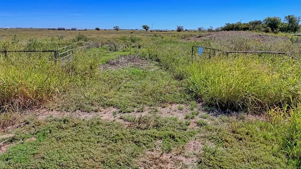 a view of a dry yard with wooden fence