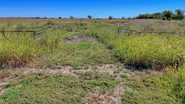a view of a dry yard with wooden fence