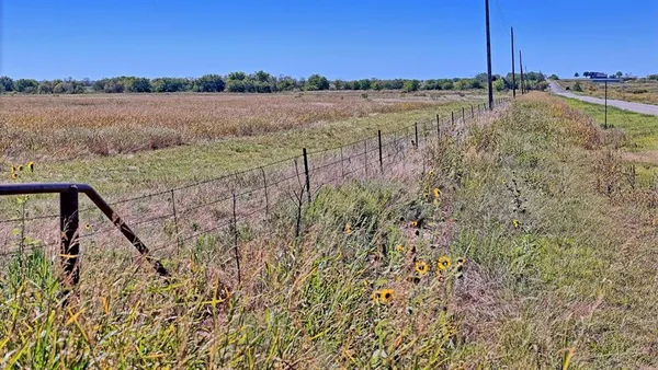 a view of a forest with a mountain