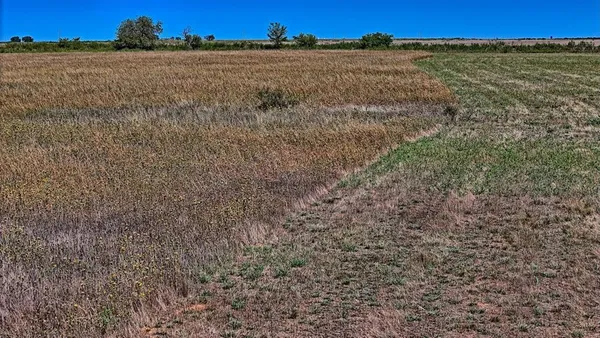 a view of a big yard