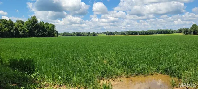 $549,000 | 660 County Road 323, Poplar Bluff, MO 63901