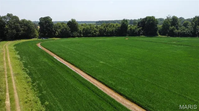 $549,000 | 660 County Road 323, Poplar Bluff, MO 63901