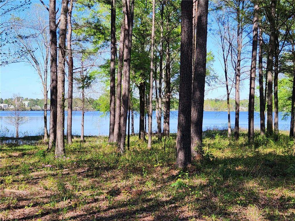 0 Hicks Road Natchitoches, LA 71457 - Photo 2 of 5