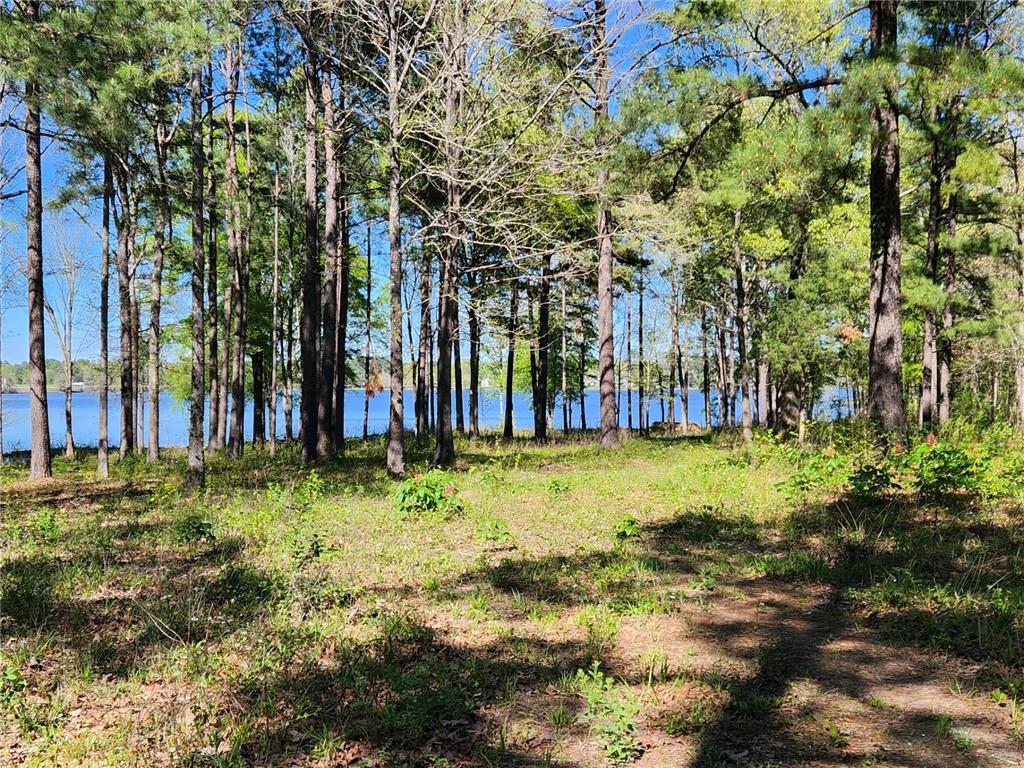 0 Hicks Road Natchitoches, LA 71457 - Photo 3 of 5