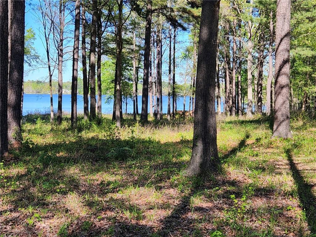 0 Hicks Road Natchitoches, LA 71457 - Photo 4 of 5