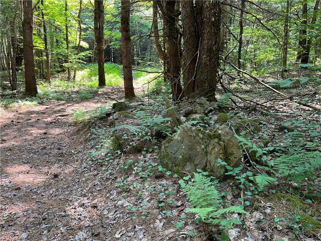 357 Cable Road Amboy, NY 13493 - Photo 18 of 50