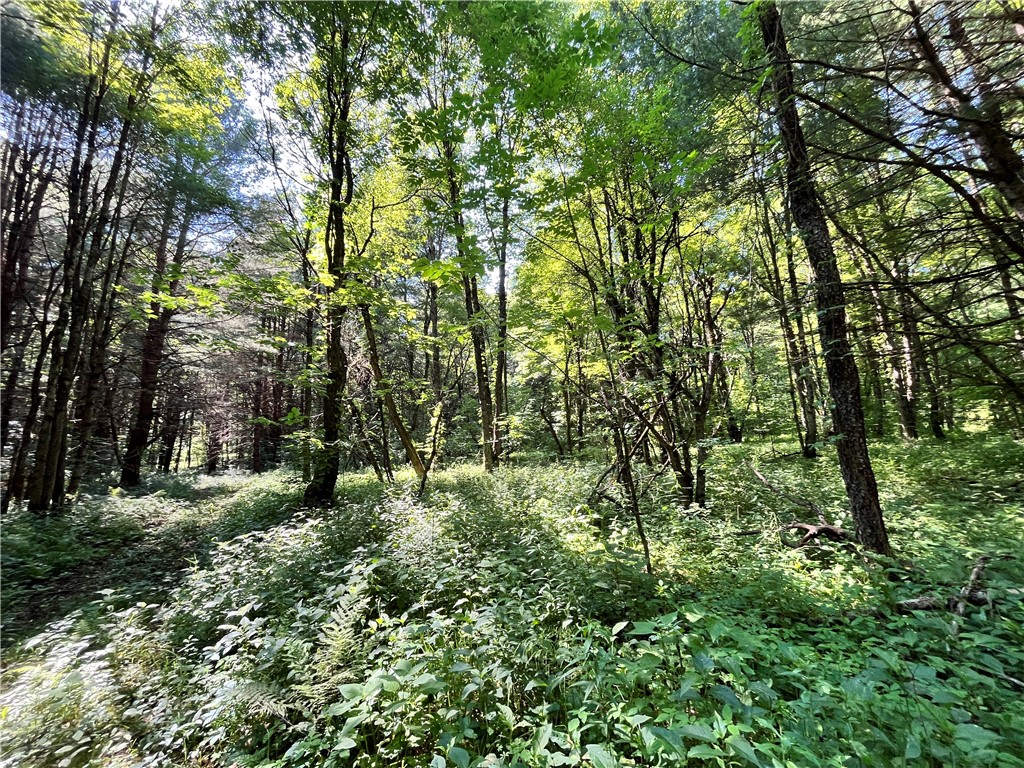 357 Cable Road Amboy, NY 13493 - Photo 24 of 50