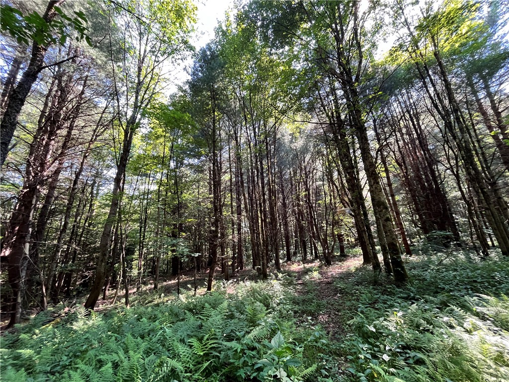 357 Cable Road Amboy, NY 13493 - Photo 26 of 50