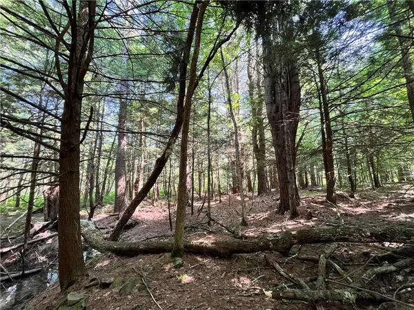 $99,900 | 357 Cable Road, Amboy, NY 13493