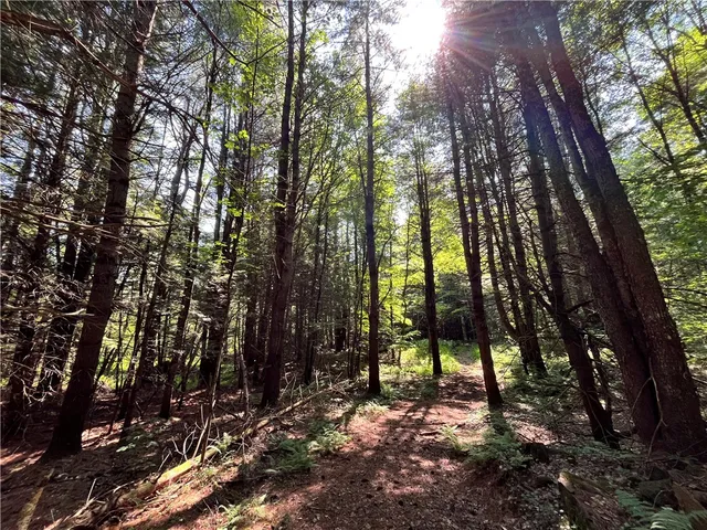 $99,900 | 357 Cable Road, Amboy, NY 13493