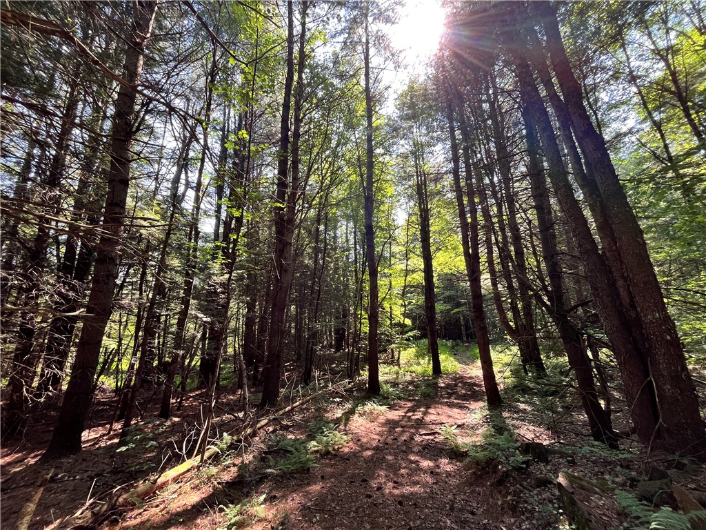 357 Cable Road Amboy, NY 13493 - Photo 28 of 50