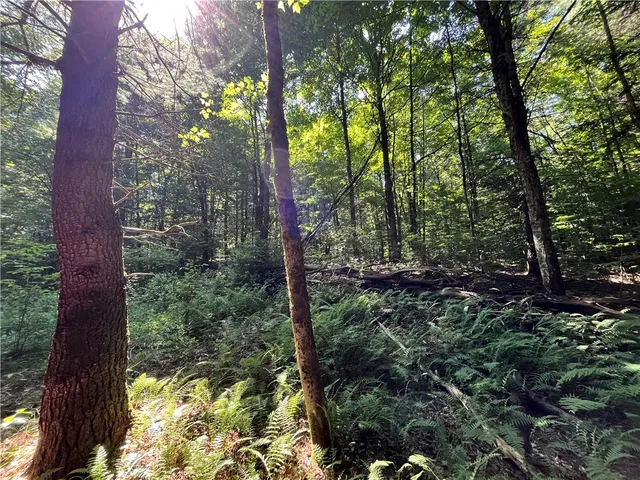 $99,900 | 357 Cable Road, Amboy, NY 13493