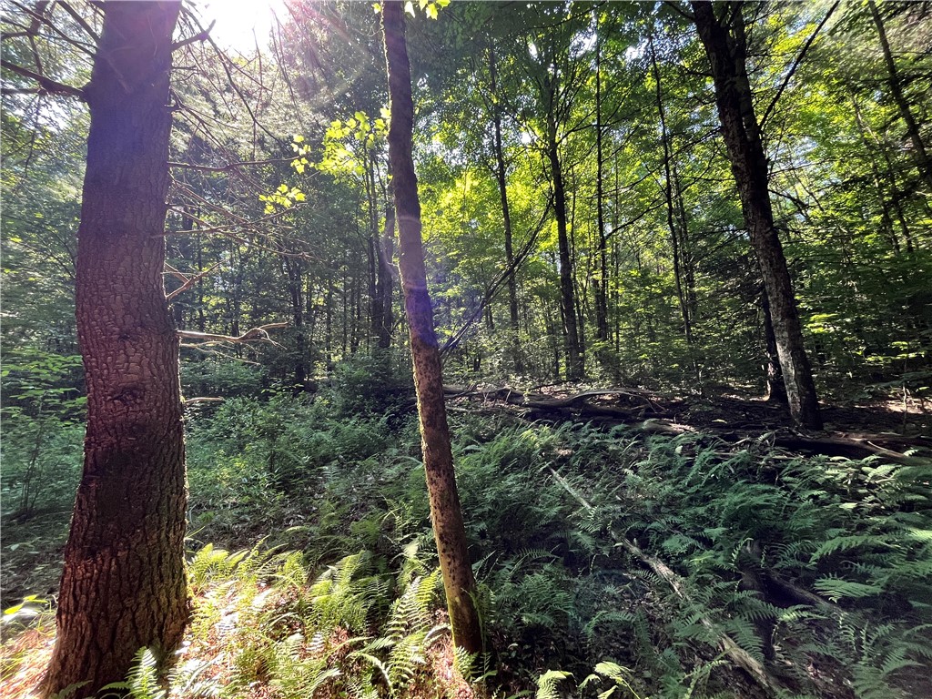 357 Cable Road Amboy, NY 13493 - Photo 29 of 50