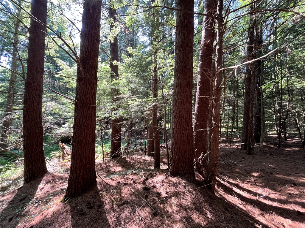 357 Cable Road Amboy, NY 13493 - Photo 30 of 50