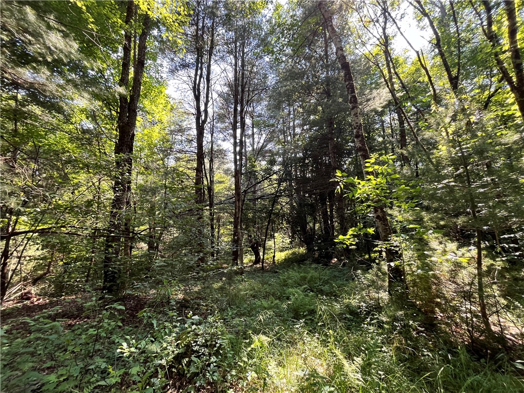 357 Cable Road Amboy, NY 13493 - Photo 31 of 50