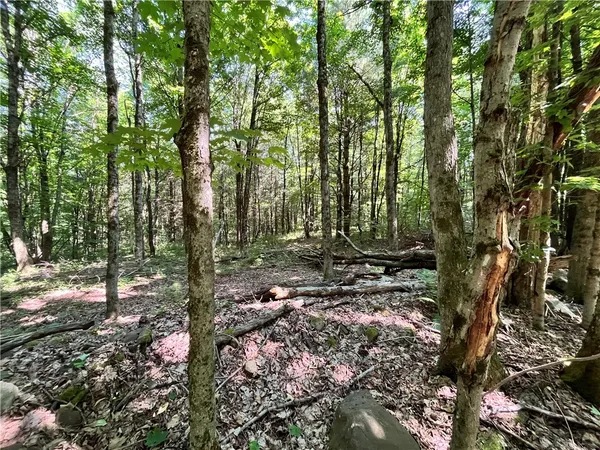$99,900 | 357 Cable Road, Amboy, NY 13493