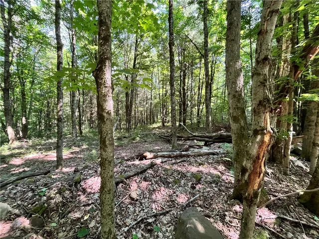 $99,900 | 357 Cable Road, Amboy, NY 13493